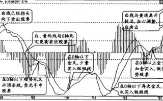轴位13是什么情况，轴位13是什么意思